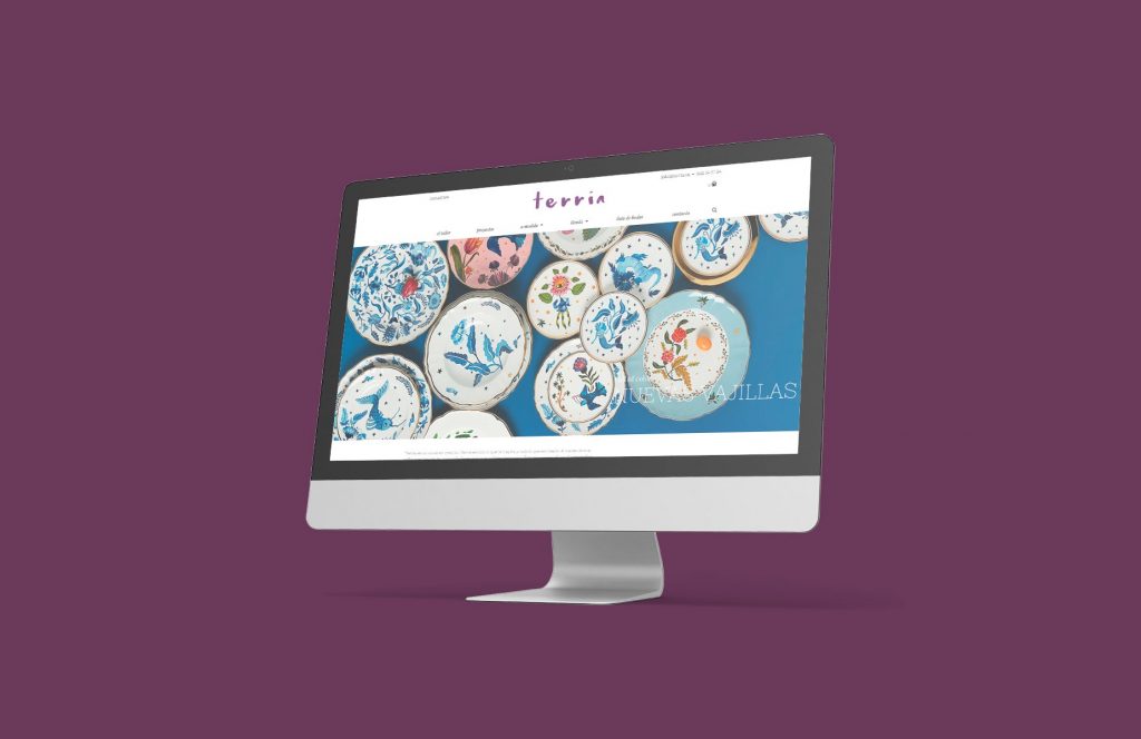 Renovamos la web de Terria (decoración única para proyectos exclusivos)
